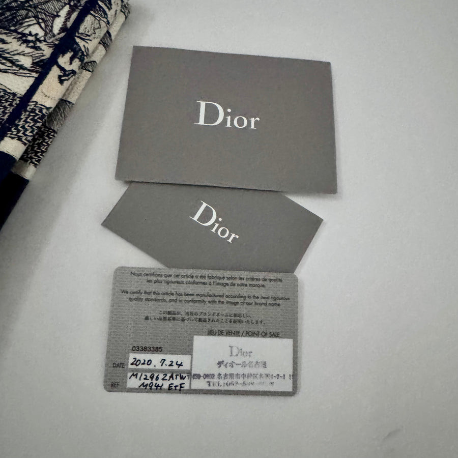 CHRISTIAN DIOR Canvas Embroidered Around The World Book Large Tote Blue