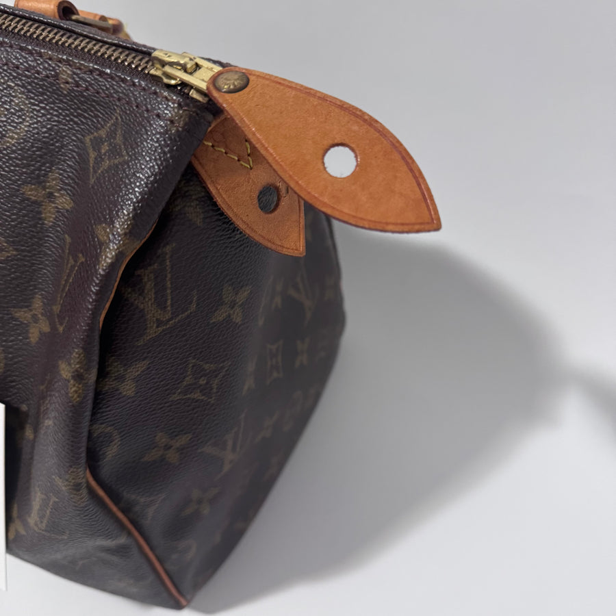 Louis Vuitton Speedy 30 Monogram Bag