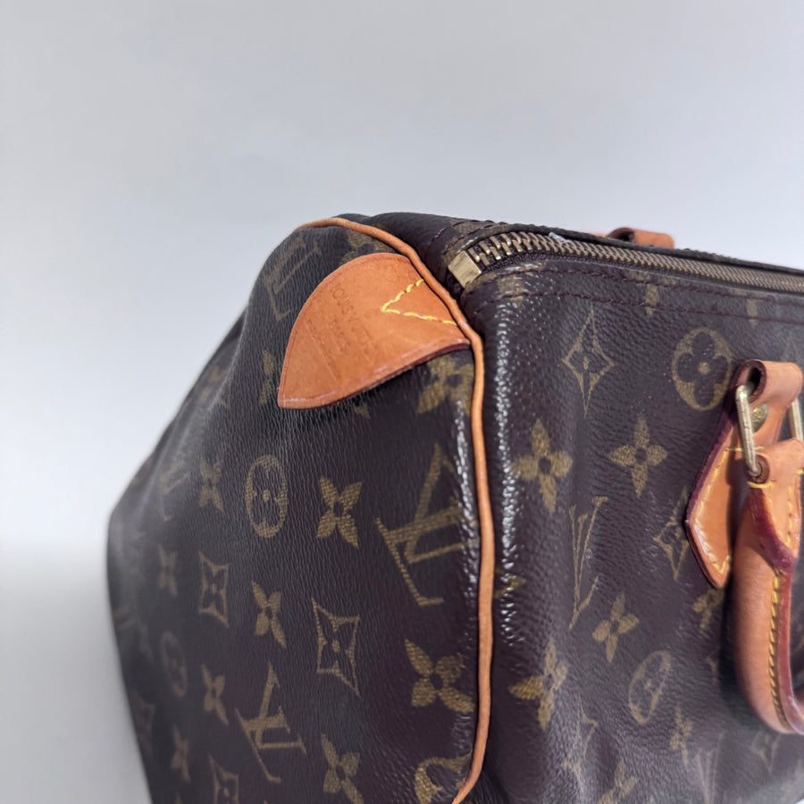 Louis Vuitton Speedy 30 Monogram Bag