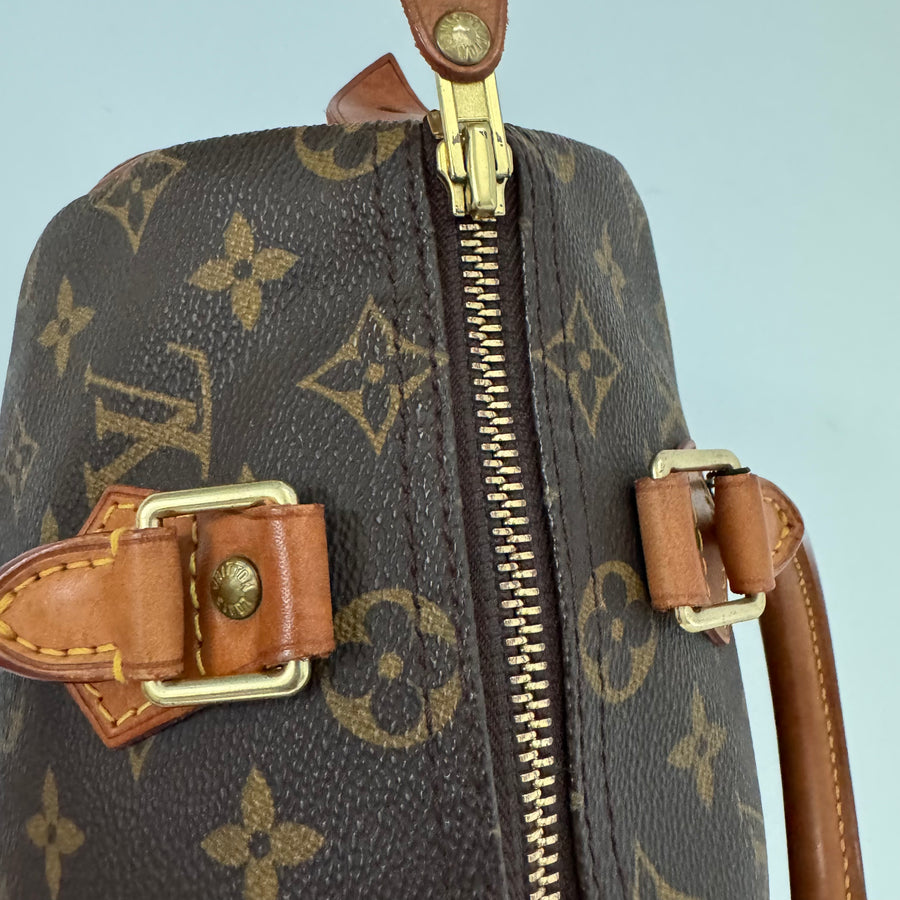 Louis Vuitton Speedy 25 Monogram Bag