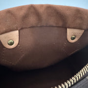 Louis Vuitton Speedy 25 Monogram Bag