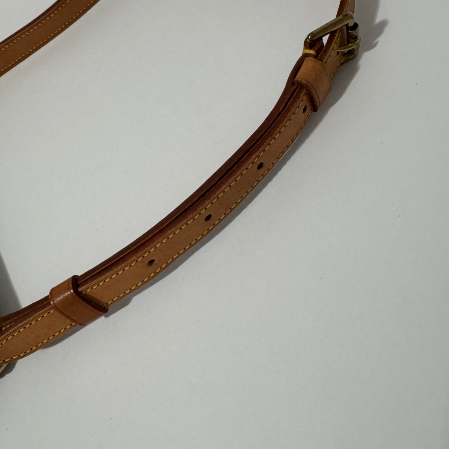Louis Vuitton Musette Salsa Monogram Bag
